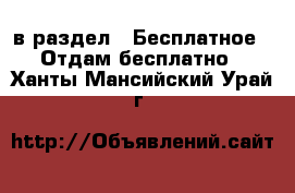  в раздел : Бесплатное » Отдам бесплатно . Ханты-Мансийский,Урай г.